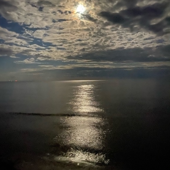 Meet your Posher, Jordan - Picture 1 of 1